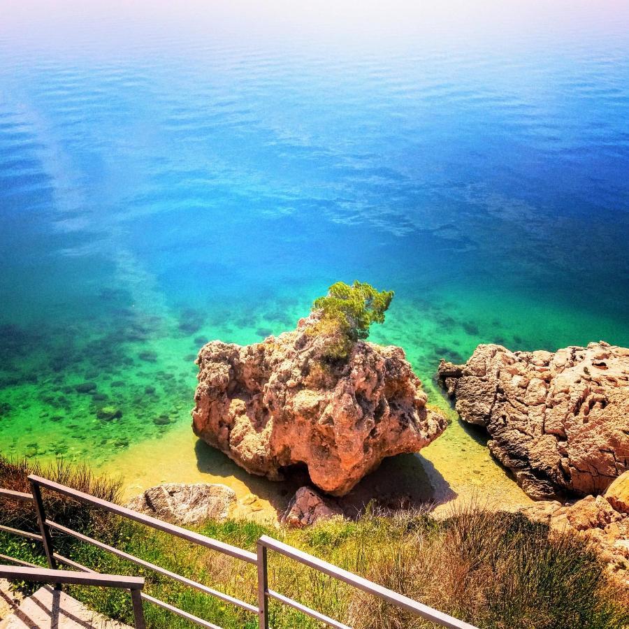 Luxury Andrea * Marusici (Split-Dalmatia)